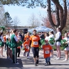 3. Wedeler Auwiesenlauf