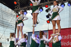 Wedeler Hafenfest 2015