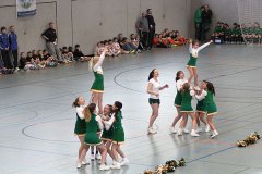Löwen-Cup 2012