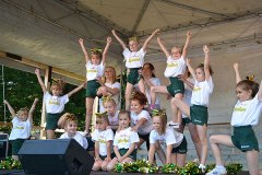 Pinneberger Kindertag 2012