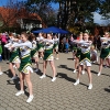 Wedeler Auwiesenlauf 2016