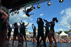 Wedeler Hafenfest 2014